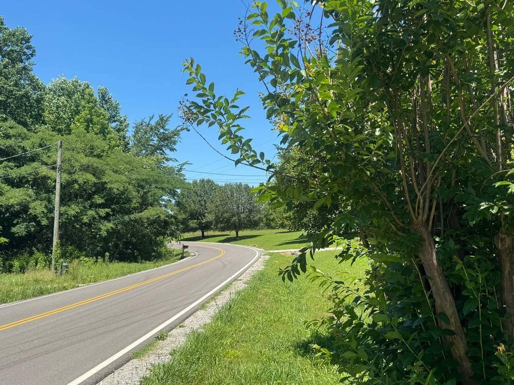 Photo of 2270 Fall River Rd, Leoma, TN 38468 (MLS # 11855467)