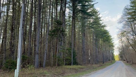 Photo of 0 Stormy Hill Rd, Cold Brook, NY 13324 (MLS # 11739436)