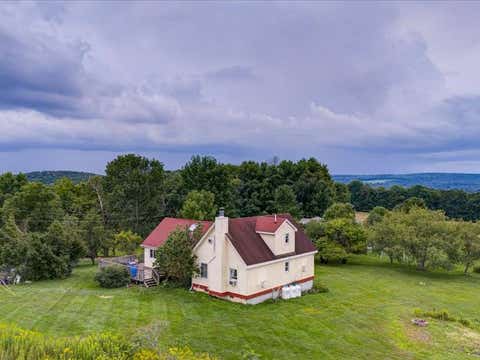 Photo of 257 Harrison Hill Road, Oneonta, NY 13820 (MLS # 11927727)