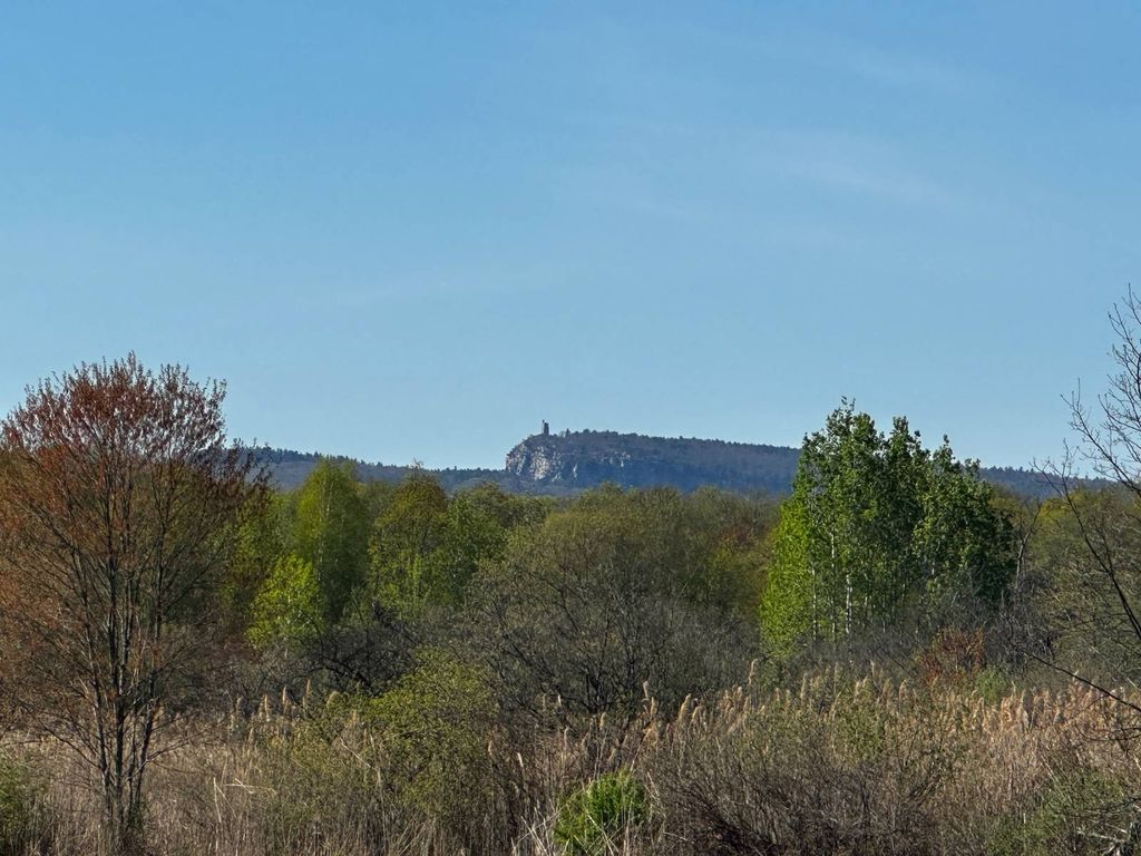 Photo of 0 Route 32 S, Modena, NY 12525 (MLS # 11740085)