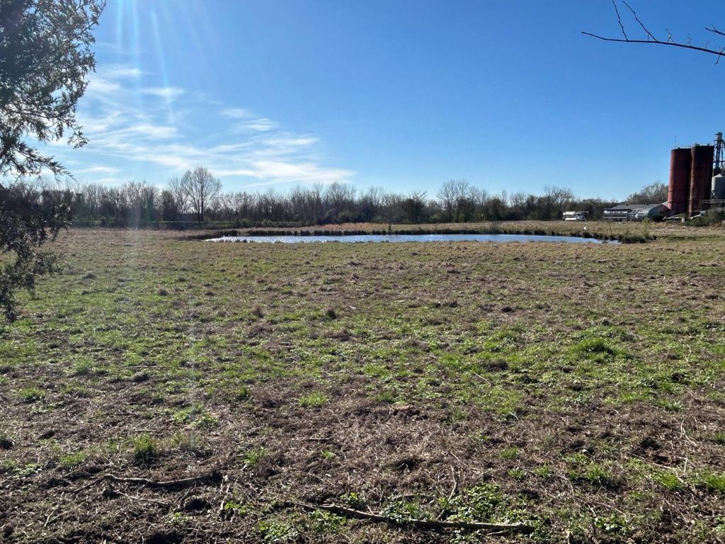 Photo of 8063 S Highway 23, Ozark, AR 72949 (MLS # 11676502)