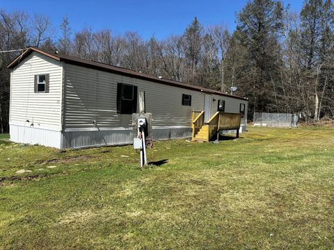 Photo of 499 Tanzman Rd, Parksville, NY 12768 (MLS # 11688210)