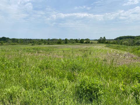 Photo of 25 Salt Springville Rd #L25, Fort Plain, NY 13339 (MLS # 11544499)