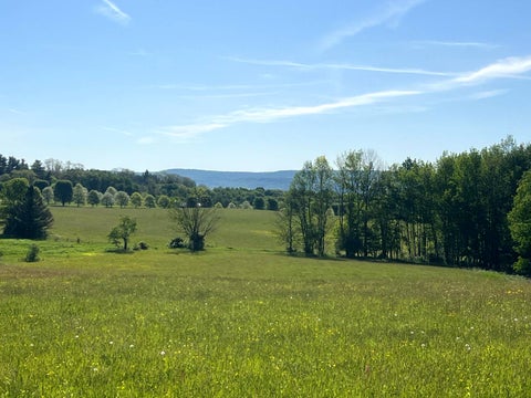 Photo of 13 County Road 29 #3, New Berlin, NY 13411 (MLS # 11587932)