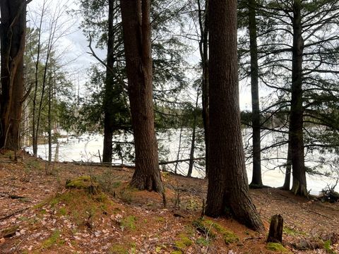 Photo of 13 N. Hillsboro Rd #3, Camden, NY 13316 (MLS # 11675094)