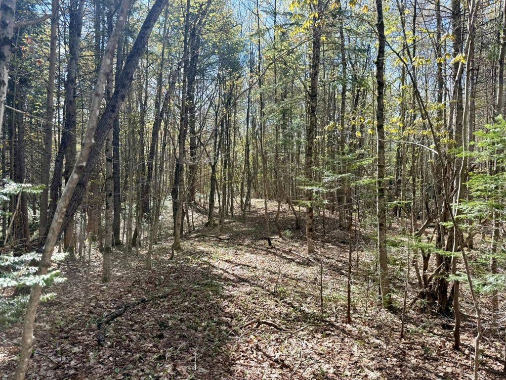 Photo of Off Haskell Road, Piseco, NY 12139 (MLS # 11777192)