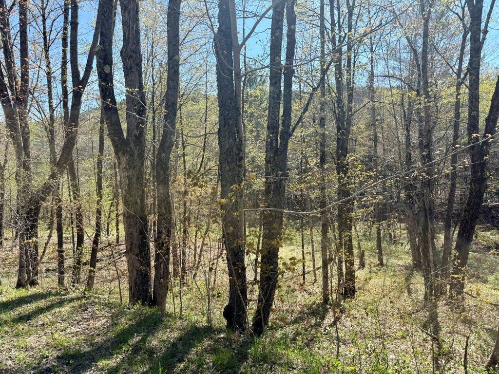 Photo of Off Haskell Road, Piseco, NY 12139 (MLS # 11777192)