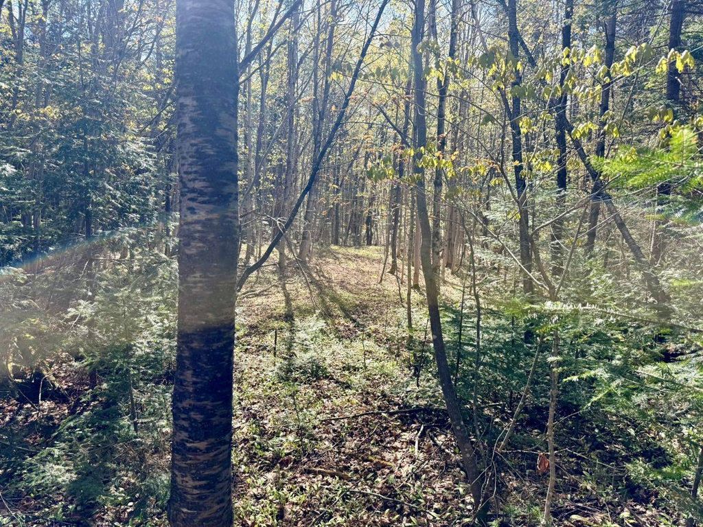 Photo of Off Haskell Road, Piseco, NY 12139 (MLS # 11777192)