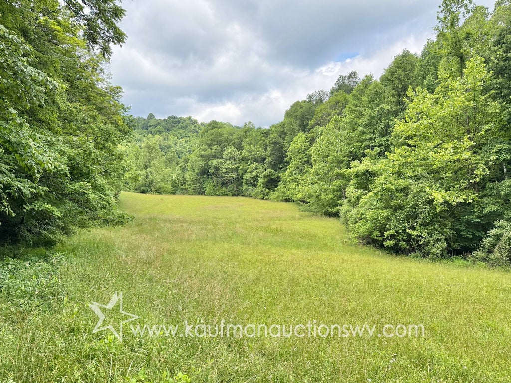 Photo of TBD County Road 12-2, Gassaway, WV 26624 (MLS # 11847009)
