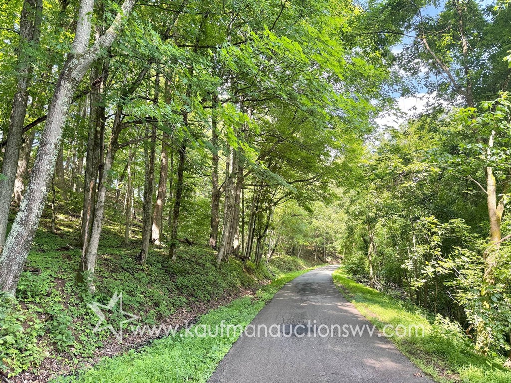 Photo of TBD County Road 12-2, Gassaway, WV 26624 (MLS # 11847009)