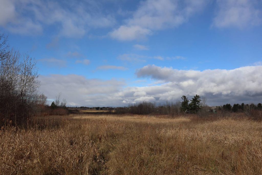 Photo of 1487 Sthwy 162, Sprakers, NY 12166 (MLS # 11622425)