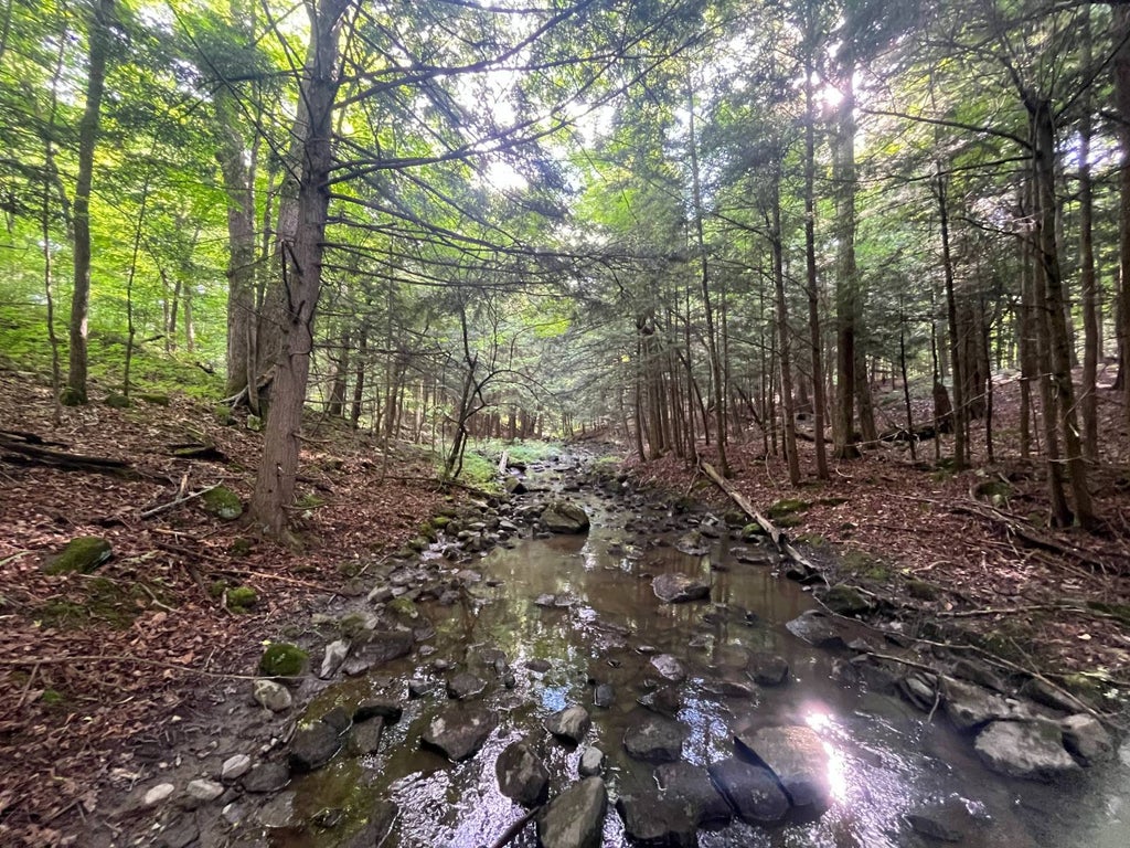 Photo of 00 Eddy Pyrites Rd #1, Canton, NY 13617 (MLS # 11834968)