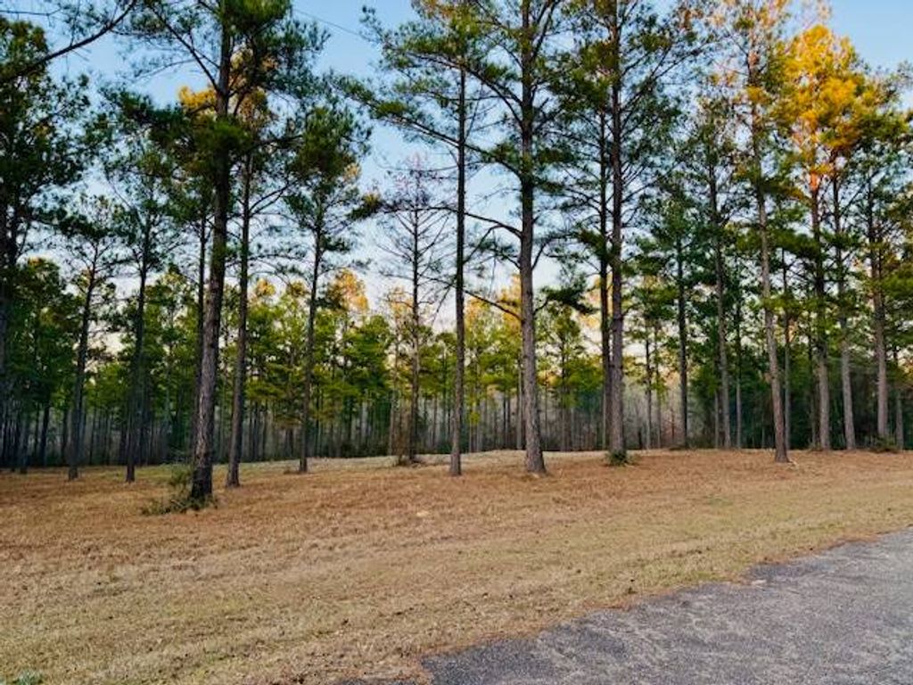 Photo of 750 Shadow Creek Drive, Camden, AL 36726 (MLS # 11641595)