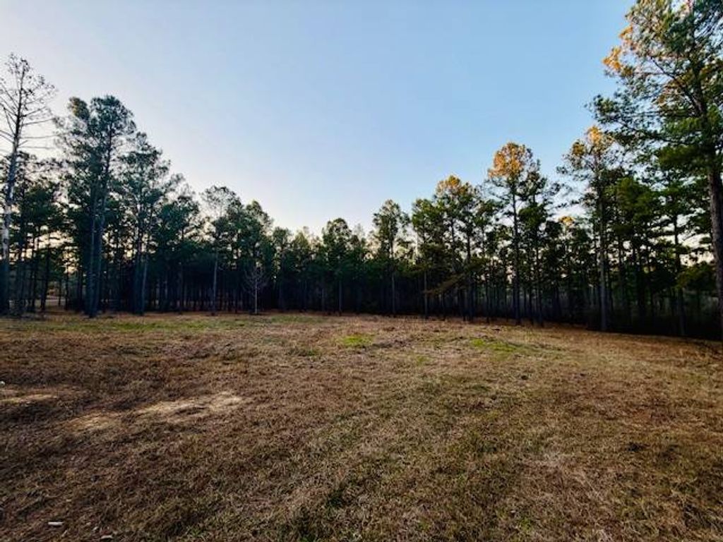 Photo of 750 Shadow Creek Drive, Camden, AL 36726 (MLS # 11641595)