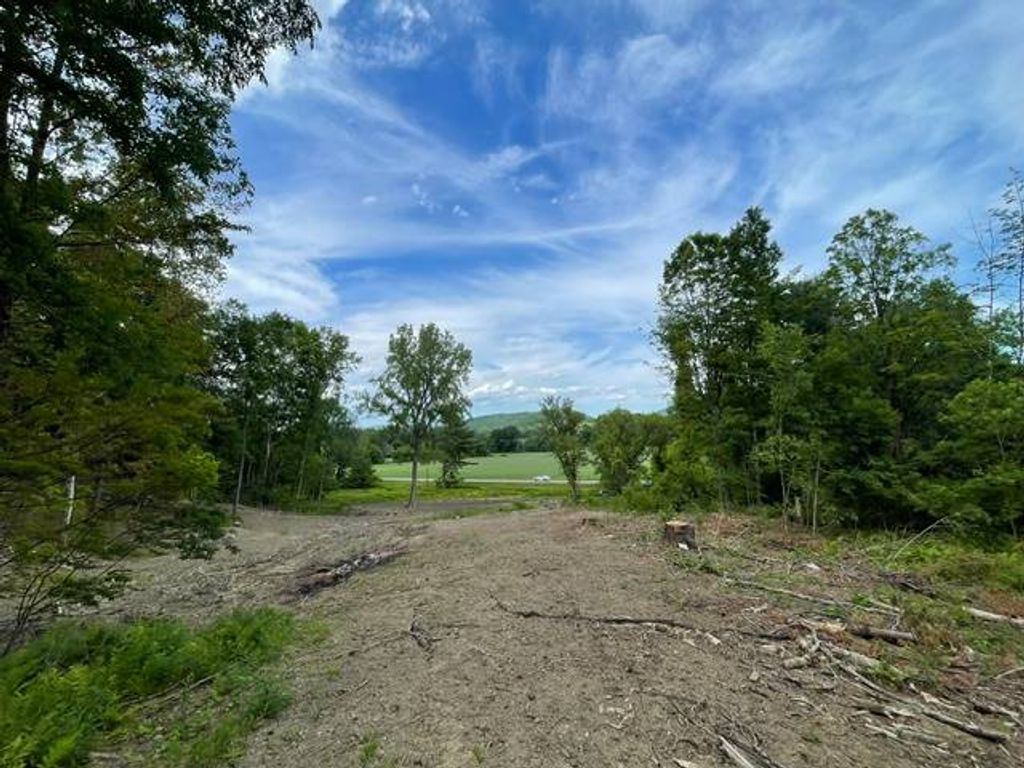 Photo of 20419 State Route 22, Petersburg, NY 12138 (MLS # 11838854)