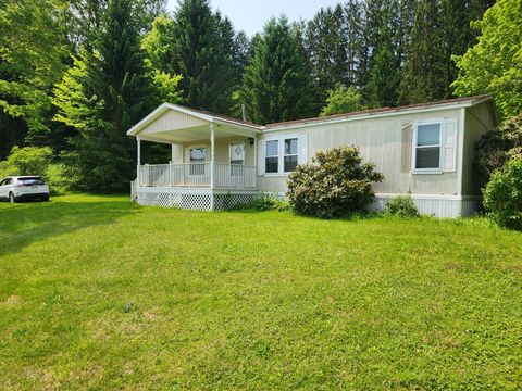Photo of 1163 County Hwy 16, Burlington Flats, NY 13315 (MLS # 11508568)