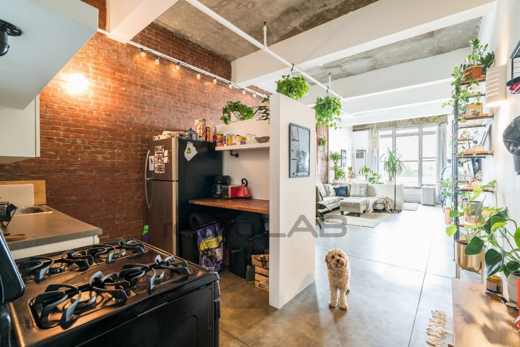 Photo of 1236 Atlantic Ave #303, BROOKLYN, NY 11216 (MLS # 11596674)