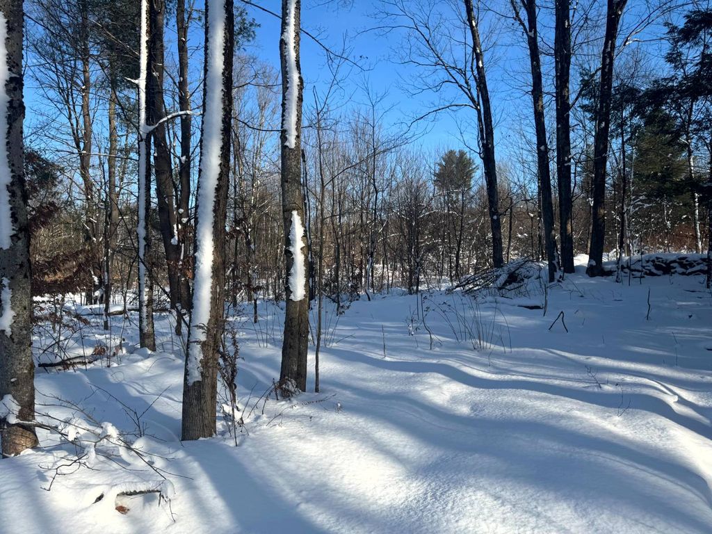 Photo of 12 Rowell Rd #2, Camden, NY, NY 13316 (MLS # 11623162)