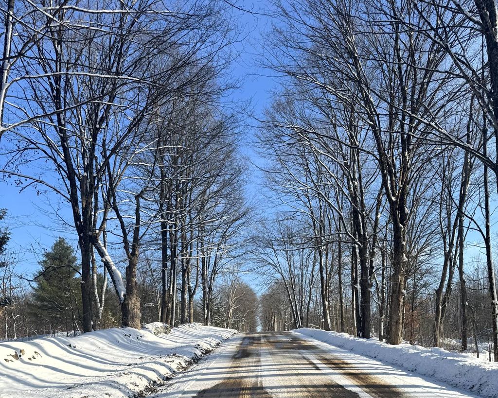 Photo of 12 Rowell Rd #2, Camden, NY, NY 13316 (MLS # 11623162)