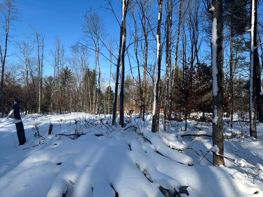 Photo of 12 Rowell Rd #2, Camden, NY, NY 13316 (MLS # 11623162)