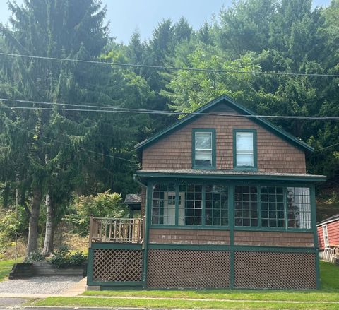 Photo of 122 Chestnut Street, Cooperstown, NY 13326 (MLS # 11333262)