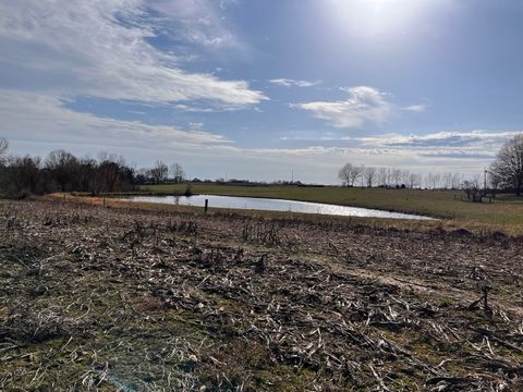 Photo of 0 Co Rd 154, Section, AL 35771 (MLS # 11859478)