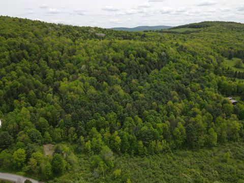 Photo of 230 Hade Hollow Road, Cooperstown, NY 13326 (MLS # 11504780)