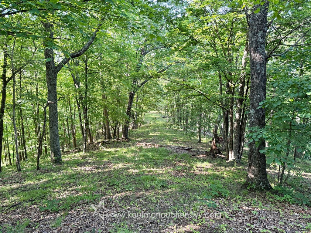 Photo of 395 Buffalo Calf Rd, Salem, WV 26426 (MLS # 11834965)