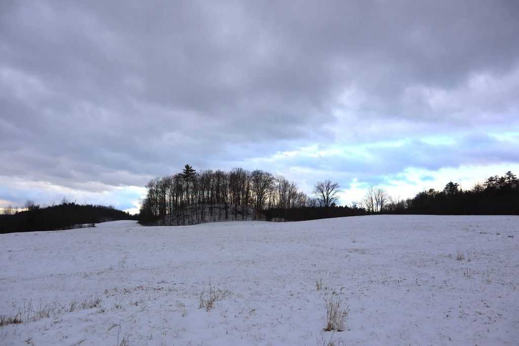 Photo of 0 Wade Road, Whitehall, NY 12887 (MLS # 11622414)