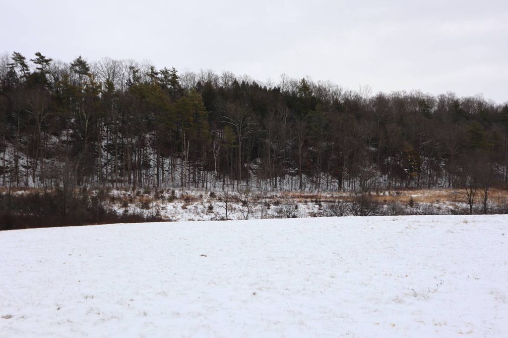 Photo of 0 Wade Road, Whitehall, NY 12887 (MLS # 11622414)