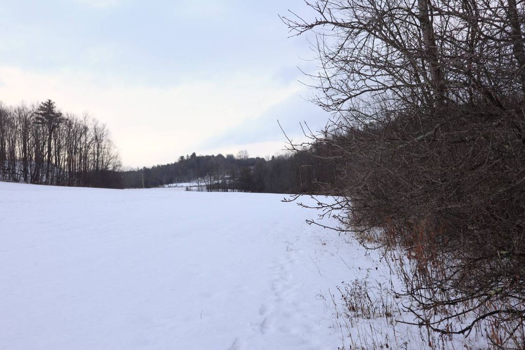 Photo of 0 Wade Road, Whitehall, NY 12887 (MLS # 11622414)