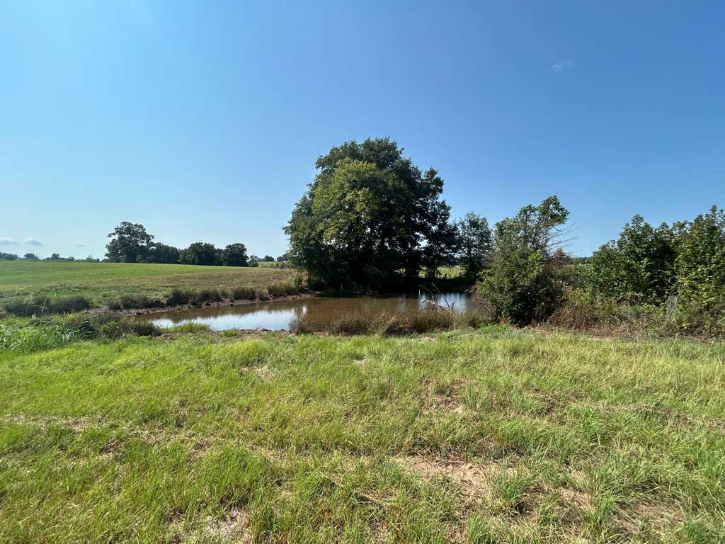 Photo of 6425 West Creek Road, Ozark, AR 72949 (MLS # 11929663)