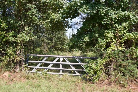 Photo of 0 Co Rd 3109, Omaha, TX 75571 (MLS # 11729121)