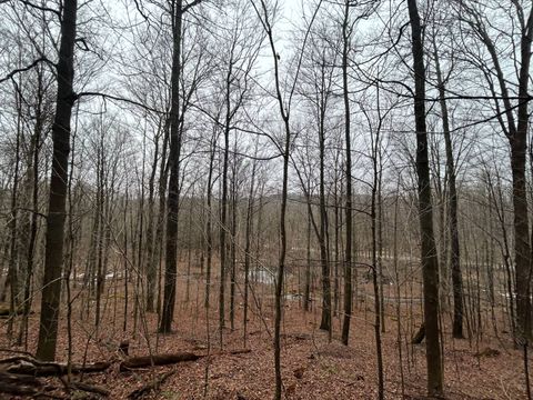 Photo of 212 Kelly Hill Rd, Pine City, NY 14871 (MLS # 11669778)