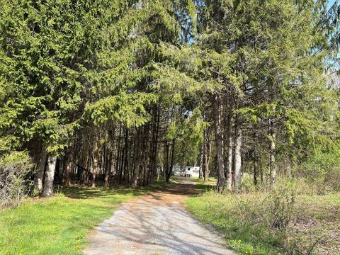 Photo of 10827 Nys 365, Remsen, NY 13438 (MLS # 11739396)