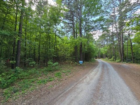 Photo of 26617 Hidden Pines Lane, Muse, OK 74949 (MLS # 11774563)