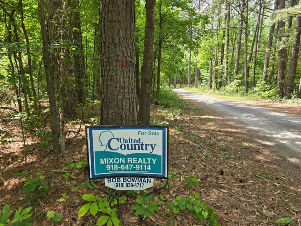 Photo of 26617 Hidden Pines Lane, Muse, OK 74949 (MLS # 11774563)