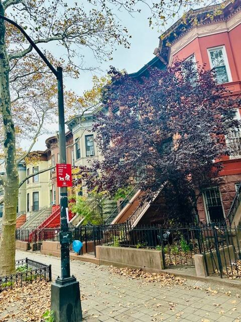 Photo of 1073 Prospect Place #1230-66, Brooklyn, NY 11213 (MLS # 11603222)