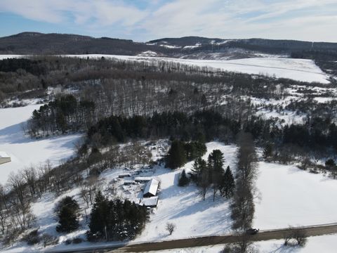 Photo of 1894 County Highway 19, Burlington Flats, NY 13315 (MLS # 11653465)