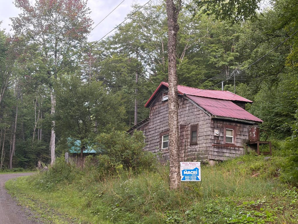 Photo of 286 California Rd, Cold Brook, NY 13324 (MLS # 11929310)