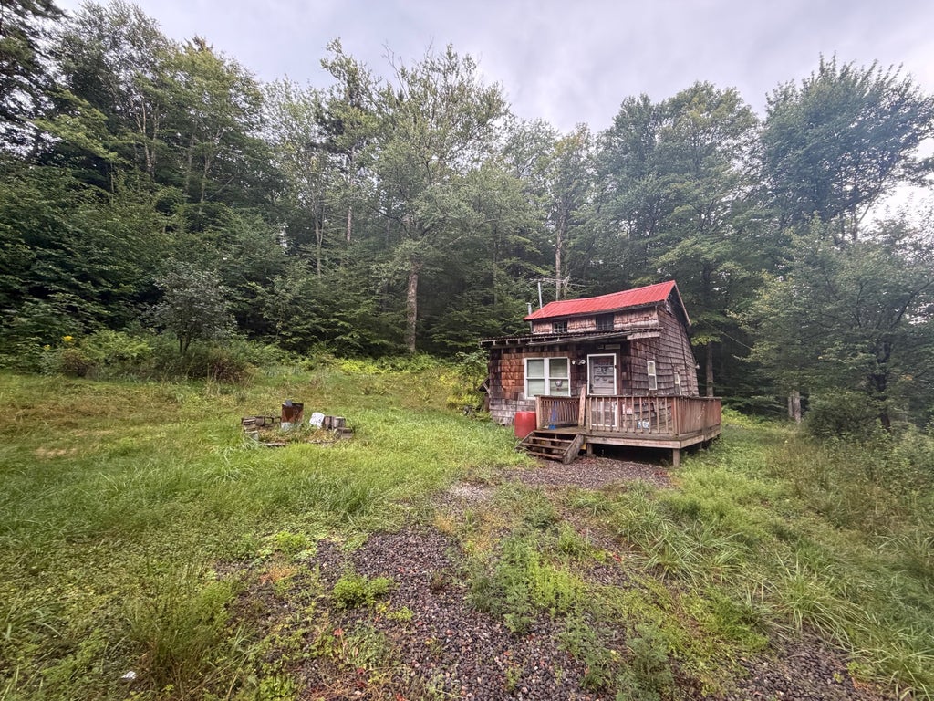 Photo of 286 California Rd, Cold Brook, NY 13324 (MLS # 11929310)