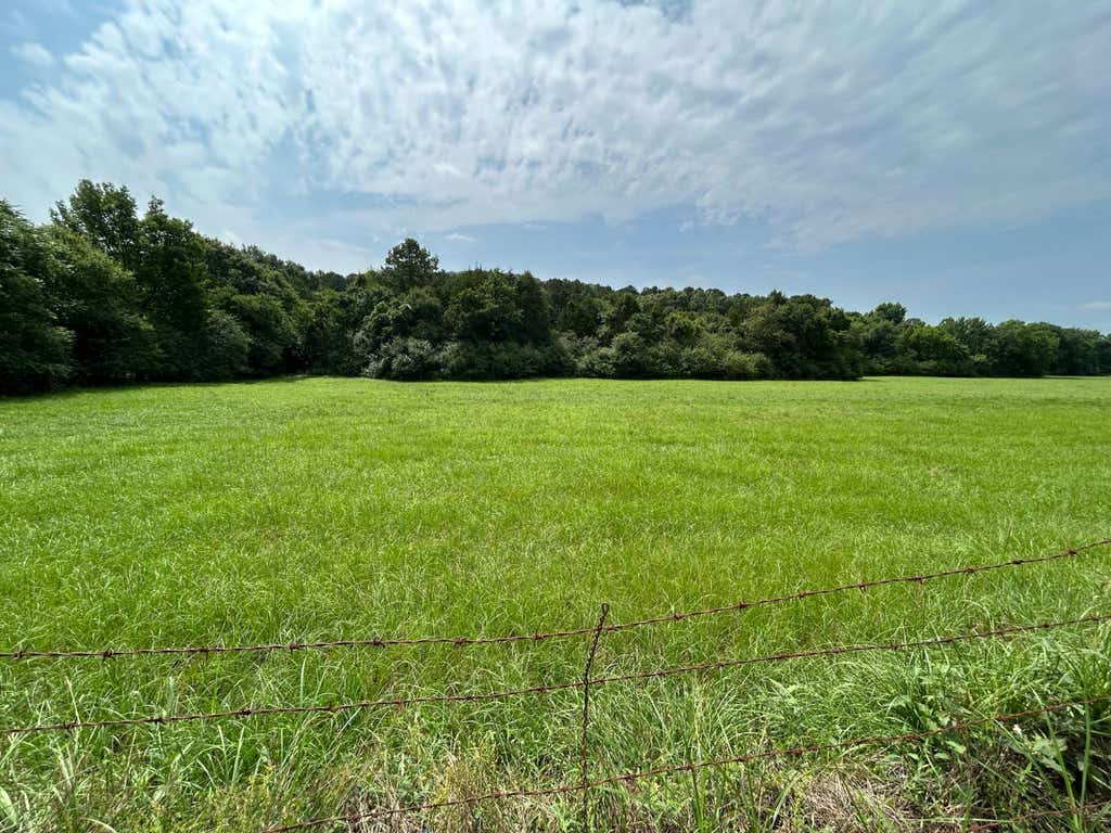 Photo of 1420 N 2nd Street, Ozark, AR 72949 (MLS # 11852537)
