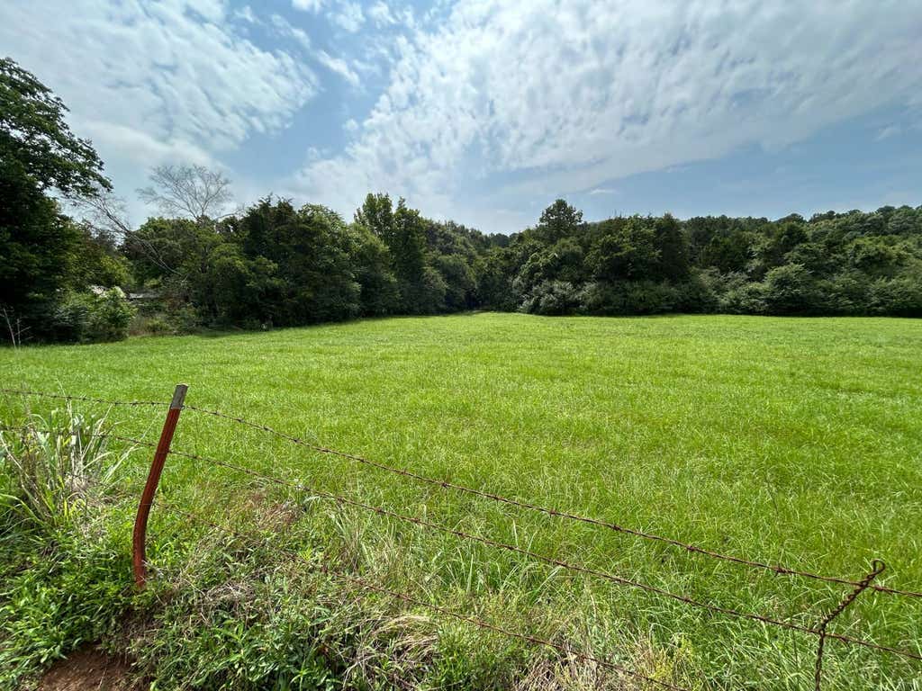Photo of 1420 N 2nd Street, Ozark, AR 72949 (MLS # 11852537)