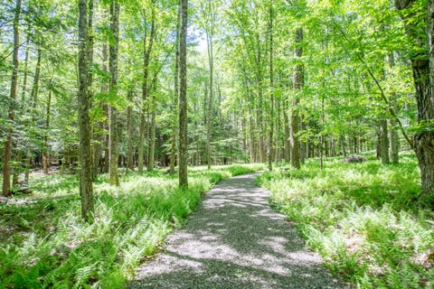 Photo of 0 McCulley Heights Rd, Davenport, NY 13750 (MLS # 11816870)