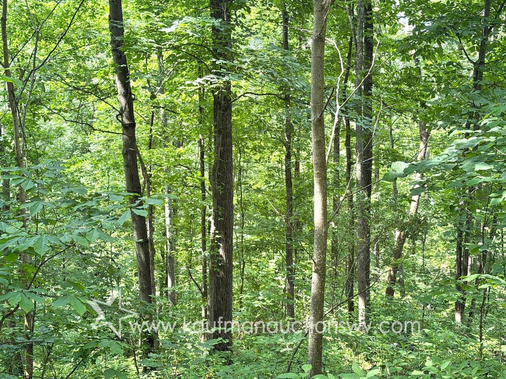 Photo of TBD County Road 20, Gassaway, WV 26624 (MLS # 11847012)