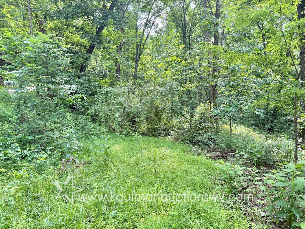 Photo of TBD County Road 20, Gassaway, WV 26624 (MLS # 11847012)