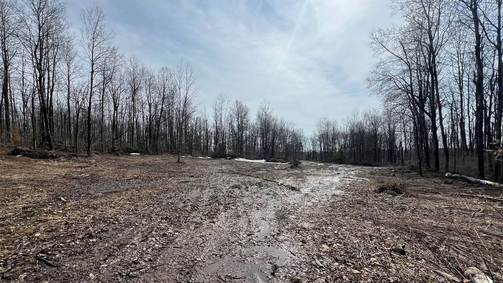 Photo of 1601 NY-29, Little Falls, NY 13365 (MLS # 11741183)