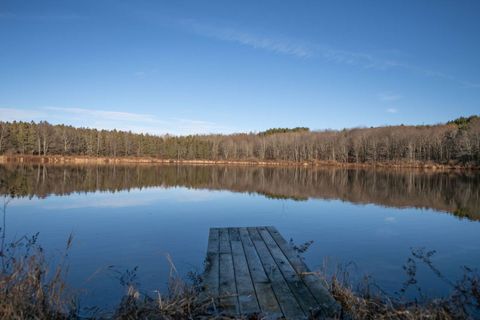 Photo of 0 Clark Rd, Masonville, NY 13839 (MLS # 11611372)