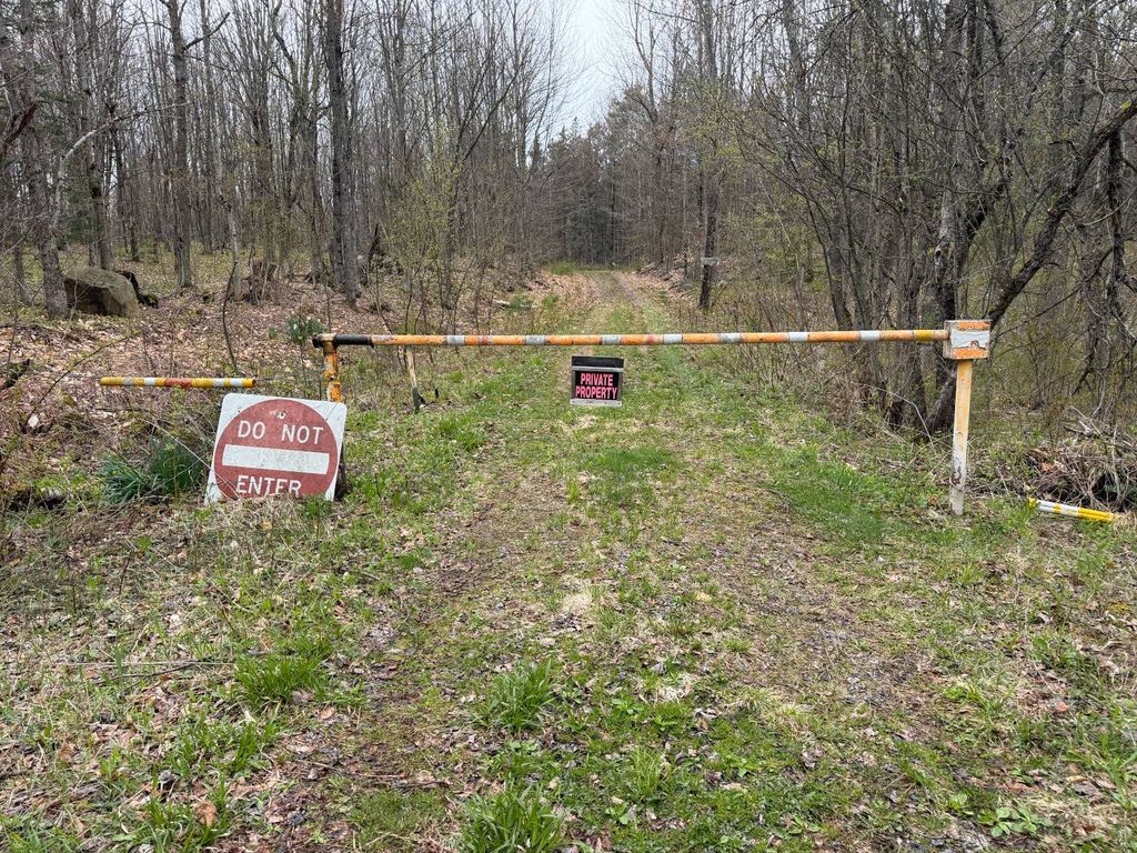 Photo of 0 White Road, Dickinson, NY 12980 (MLS # 11737345)