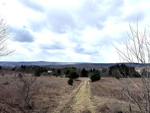 Photo of 204 Valley View Road #13, Smyrna, NY 13464 (MLS # 11692490)